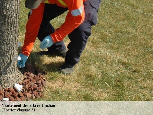 Traitement des arbres  unchair-51170 Hoerter élagage 51