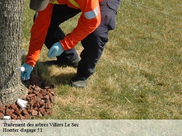 Traitement des arbres  villers-le-sec-51250 Hoerter élagage 51